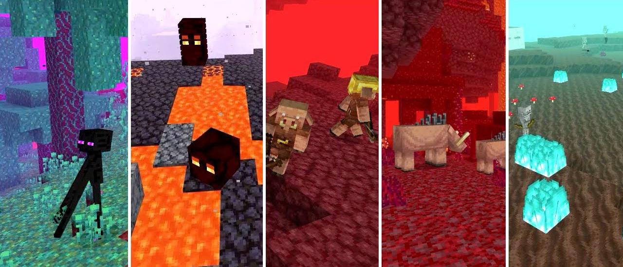 biomas nether